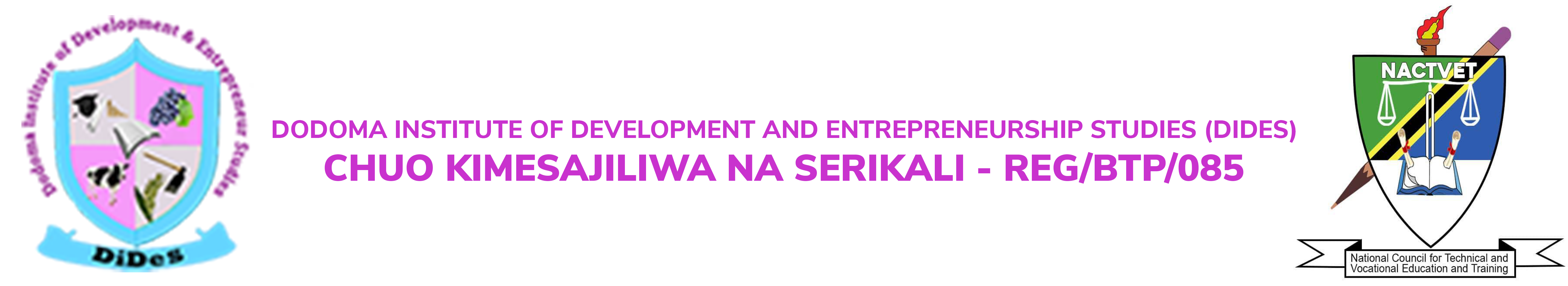 Dodoma Institute of Development and Entrepreneurship Studies (DIDES)